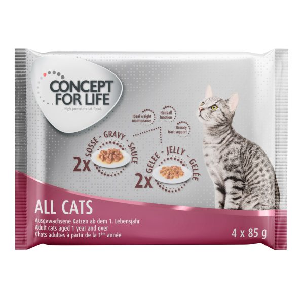 4x85g  Concept for Life Kissanruoka