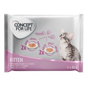 4x85g Kitten Concept for Life Kissanruoka