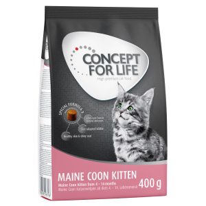 400g Maine Coon Kitten Concept for Life -kissanruoka
