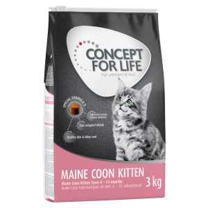 3kg Maine Coon Kitten Concept for Life -kissanruoka