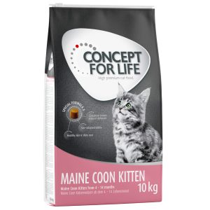 10kg Maine Coon Kitten Concept for Life -kissanruoka