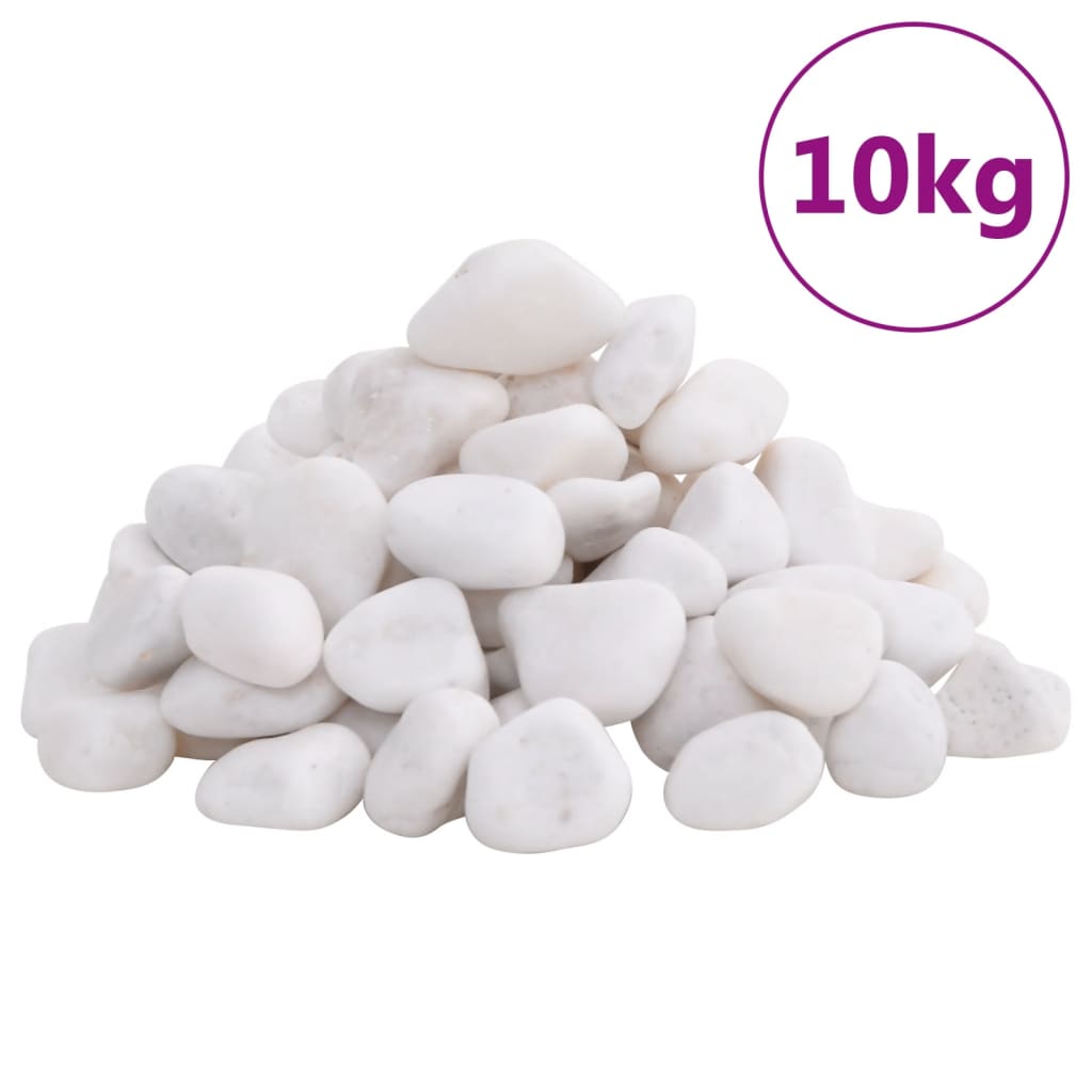 vidaXL Kiillotetut kivet 10 kg valkoinen 2-5 cm