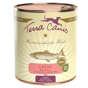 12x800g lohi, hirssi, persikka & yrtit Terra Canis koiran märkäruoka