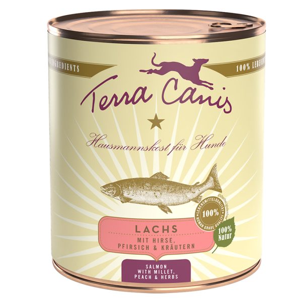 12x800g lohi, hirssi, persikka & yrtit Terra Canis koiran märkäruoka