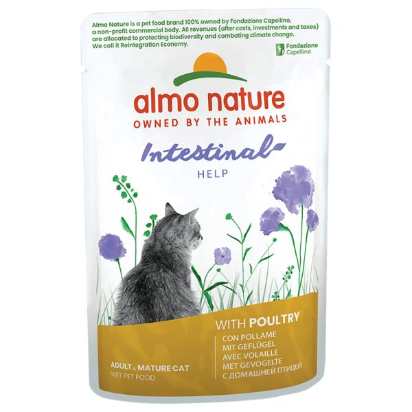 Digestive Help 12 x siipikarja Almo Nature Holistic kissan märkäruoka