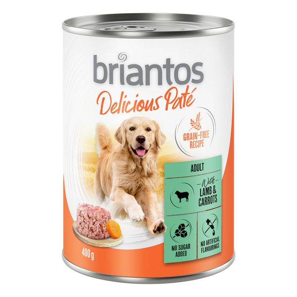 6x400g Delicious Paté lammas & porkkana Briantos koiran märkäruoka