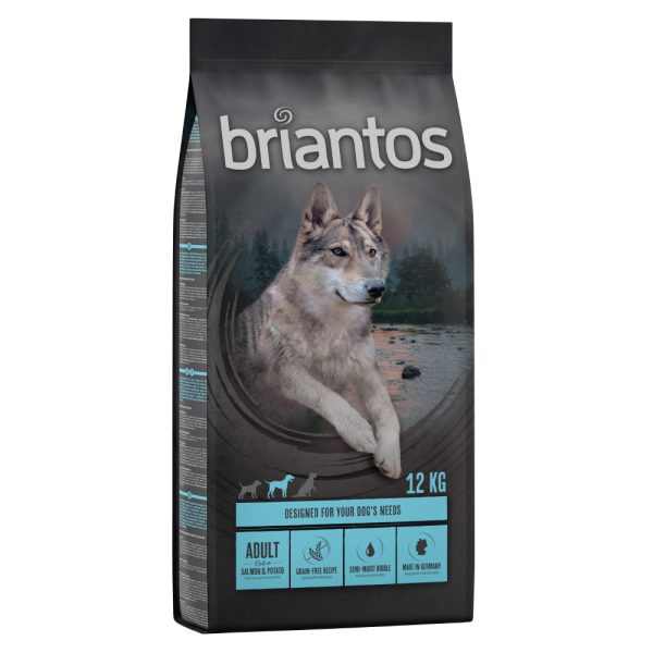12kg Adult Salmon & Potato viljaton Briantos koiranruoka