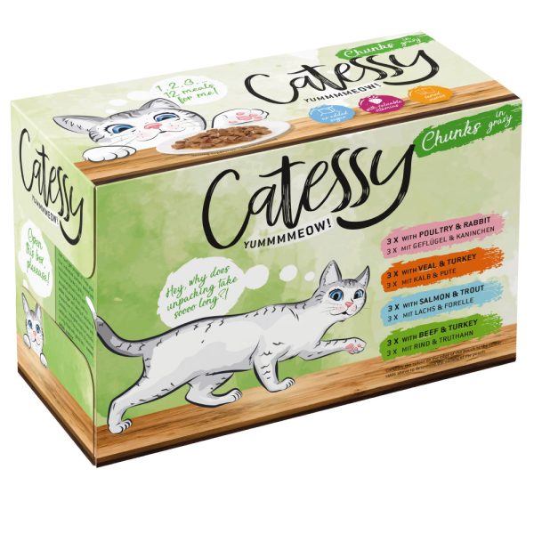 96x100g kastikkeella, monta makua Catessy Kissanruoka