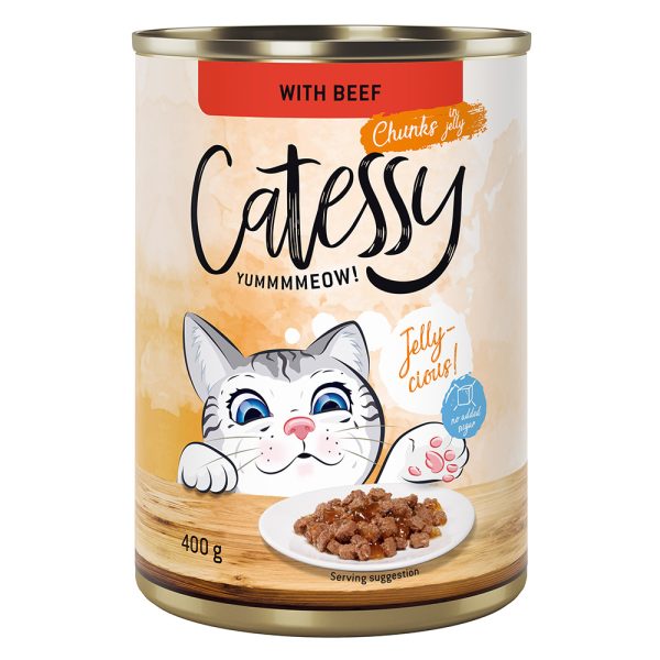 24x400g nauta hyytelössä Catessy kissan märkäruoka