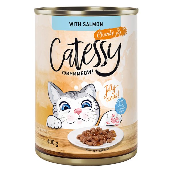 24x400g lohi hyytelössä Catessy kissan märkäruoka