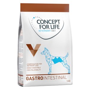 1kg Veterinary Diet Gastro Intestinal Concept for Life koiranruoka