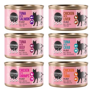 6x170g kana hyytelössä Cosma Thai/Asia kissanruoka