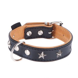 Stars nahkapanta koko 60: kaulanympärys 45-55 cm Heim koiralle