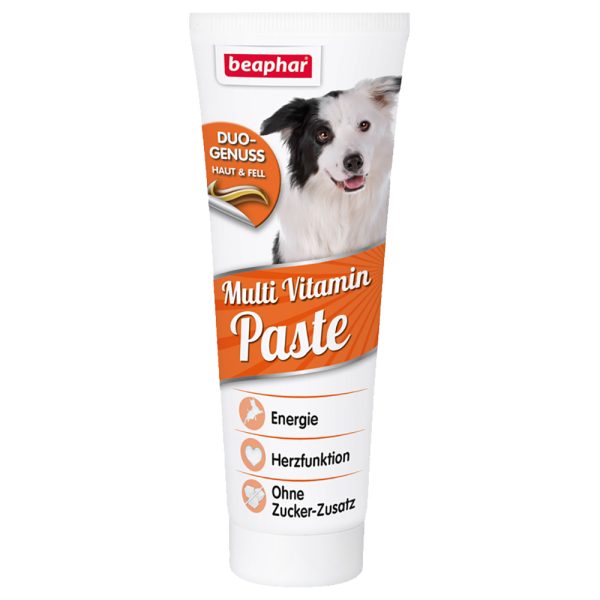 250g Multi Vitamin Paste with Biotin beaphar koiralle