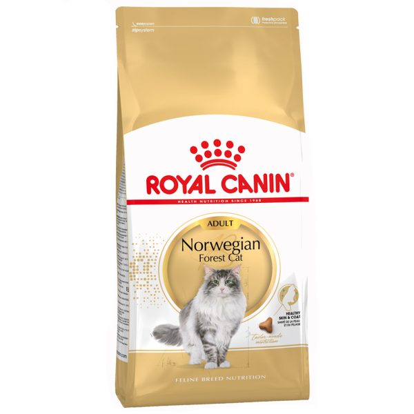 10kg Norwegian Forest Cat Adult Royal Canin Kissanruoka