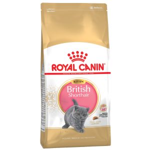 10kg British Shorthair Kitten Royal Canin Breed Kissanruoka