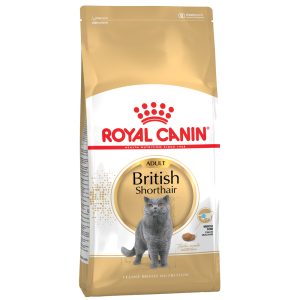 10kg Adult British Shorthair Royal Canin kissan kuivaruoka