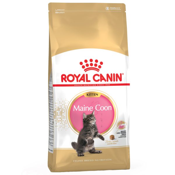 10kg Maine Coon Kitten Royal Canin Breed Kissanruoka
