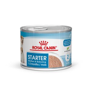 24x195g Starter Mousse Mother & Babydog Royal Canin -koiranruoka