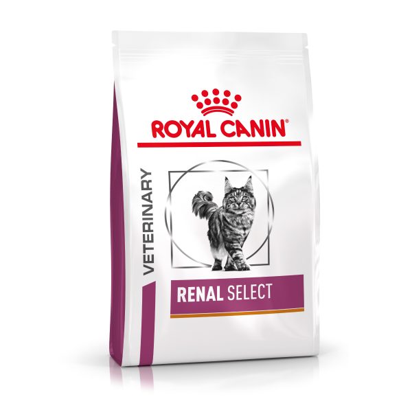 4kg Royal Canin Veterinary Feline Renal Select Kissanruoka