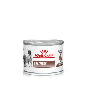 12 x 195g Canine Recovery Mousse Royal Canin Veterinary -koiranruoka