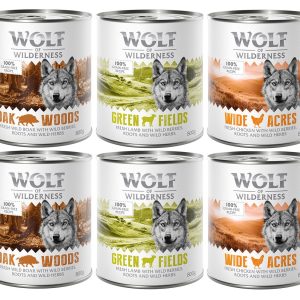 12x800g lajitelma: villisika, kana, lammas  Wolf of Wilderness koiranruoka